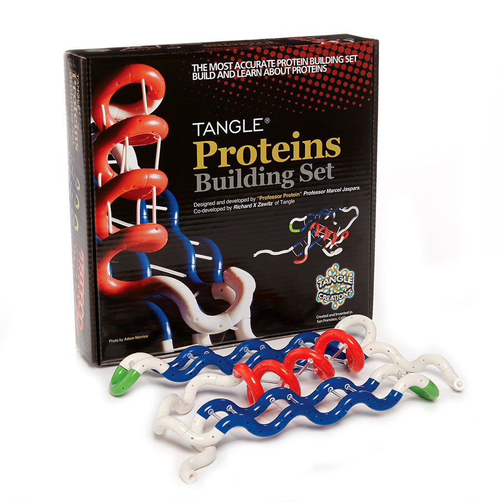 Tangle® Protein Building Set - Tangle Creations